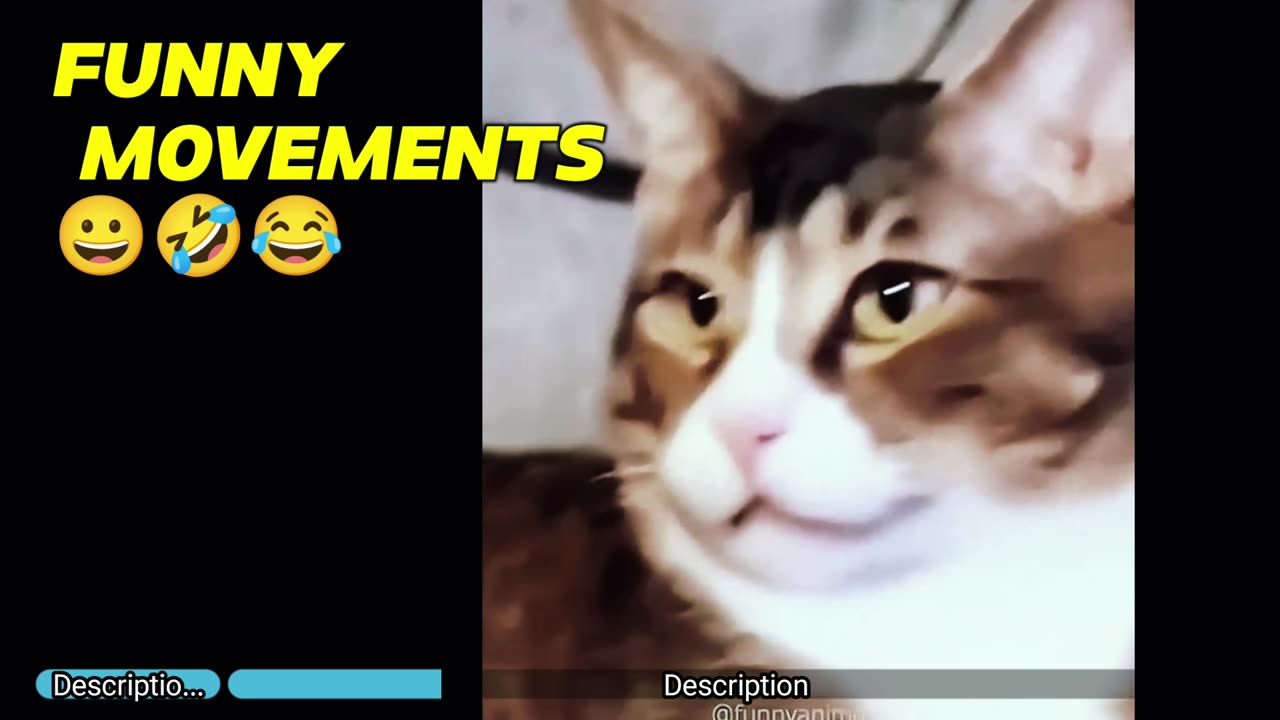 FUNNY AND ADORABLE PETS VIDEO 😀🤣