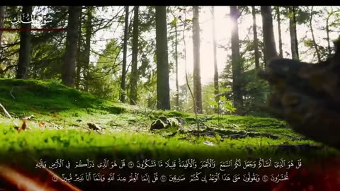 سور لجلب الرزق ( يس - الرحمن - الواقعة - الملك) القارئ هيثم الدخين Haitham Aldokhin