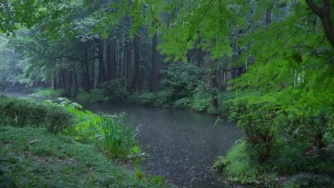 The beautiful little river is raining