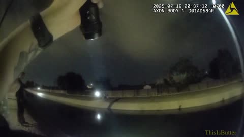 Glendale police officer rescue dog stuck in canal