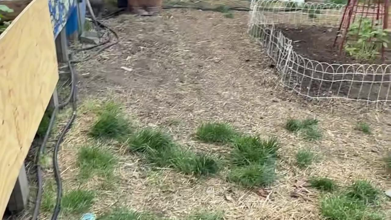 Homemade Pool Heater