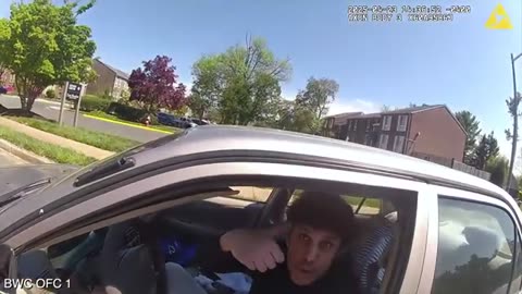 Body Camera Footage: Traffic stop leads to fatal police-involved shooting