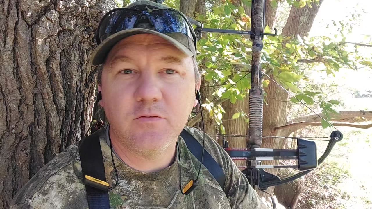 A typical day in the deer woods during archery season. '24-'25 Deer Season.