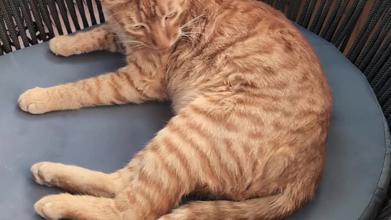 Another Blinkit fast delivery!