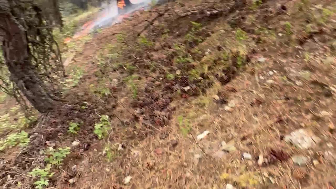 Firefighter Stomp
