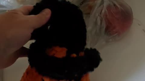 ANOTHER NEW HALLOWEEN TOY FOR BERKELEY! 