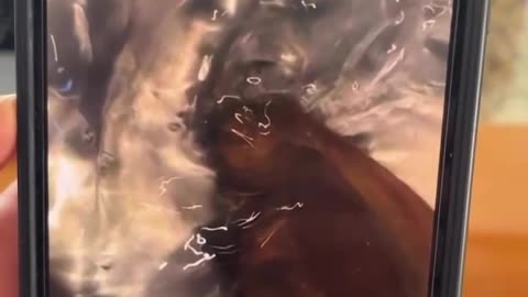 Water as a Primordial Force