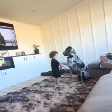 A boy and his dog.. 😊