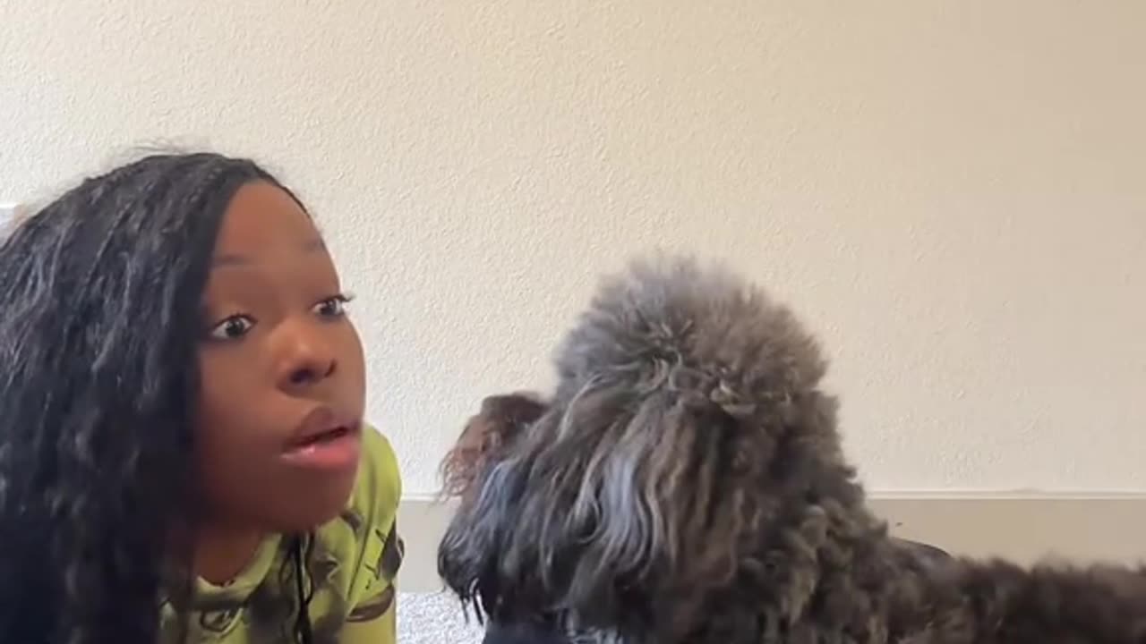 Every time I see this dog she always throwing hands.