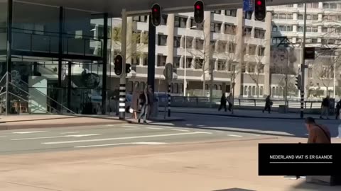 Landsadvocaat Reimer om reactie gevraagd over rechtszaak Gideon van Meijeren OvJ is Wieger Veldhuis