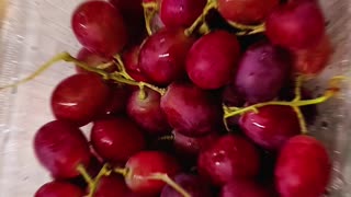 ZH Team Bash Turquoise Cheers Unity