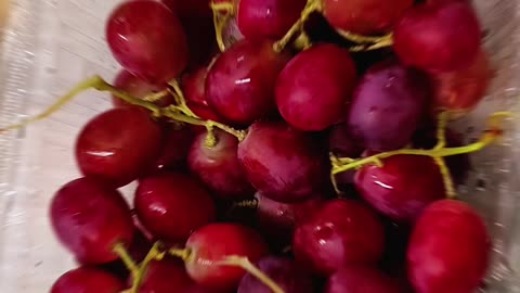 ZH Team Bash Turquoise Cheers Unity