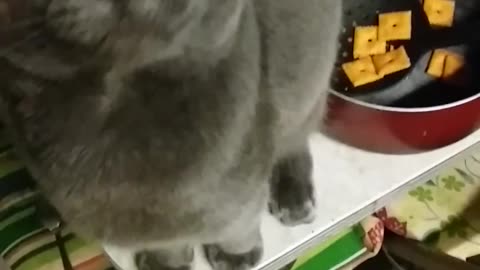 Feeding my well behaved animals treats re upload December 12,2015