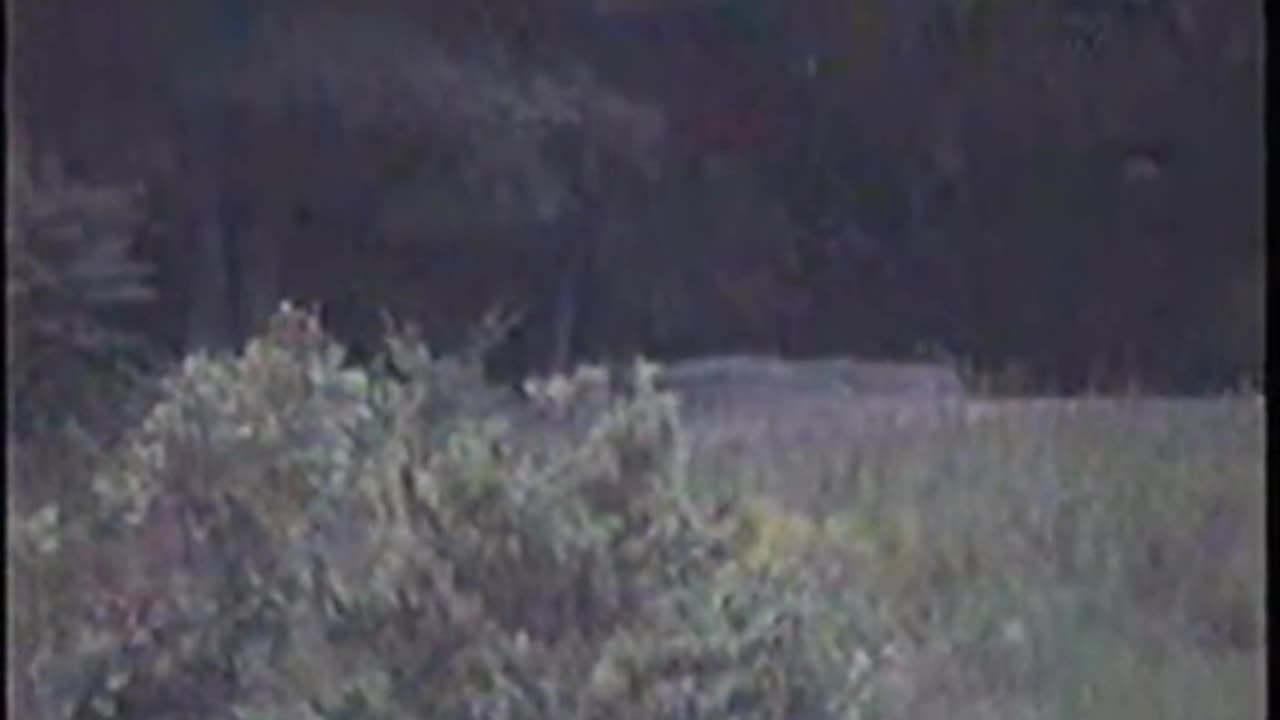 Gettysburg ghost caught in camera