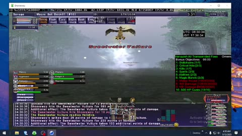 Playing Final Fantasy XI Online
