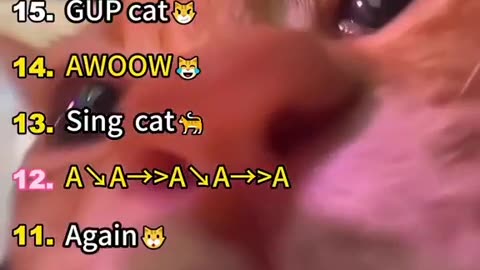 Cats with Singing powess