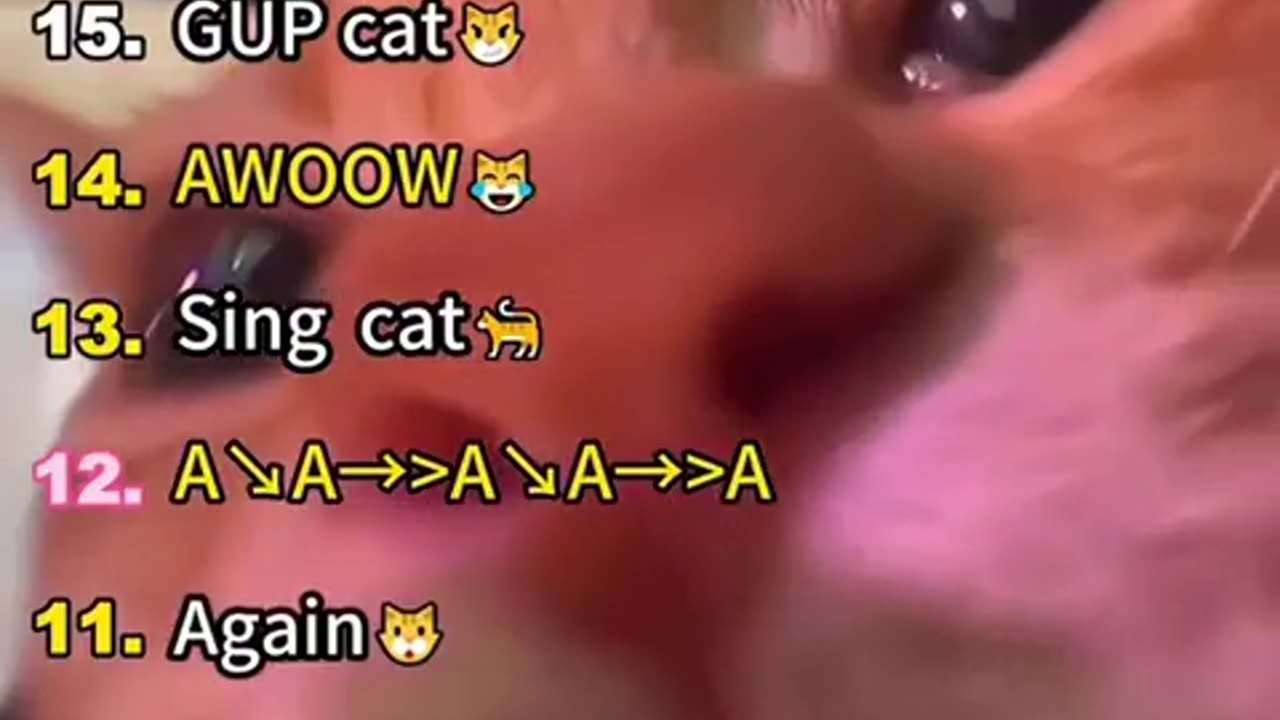 Cats with Singing powess