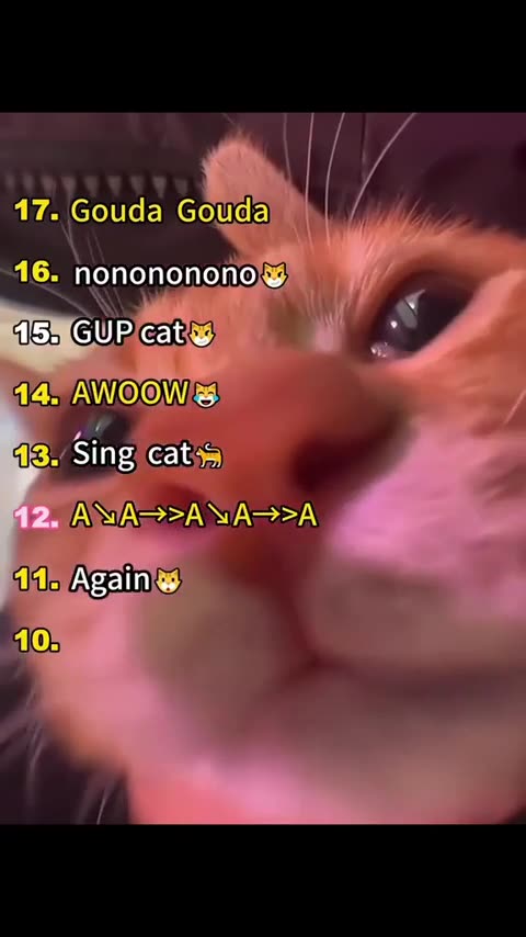 Cats with Singing powess