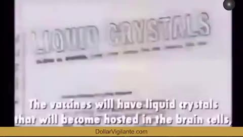 The Zombies Will Be Real