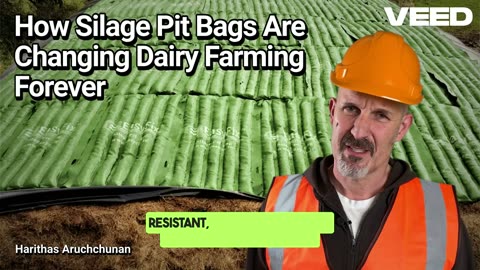 From Tires to Tech; How Silage Pit Bags Are Changing Dairy Farming Forever