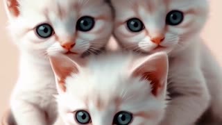 Cute baby kittens 😍 #ai #cute #fyp #cat #pets
