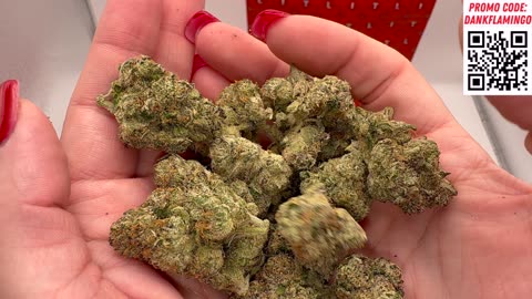 Lit Farms Space Runtz Supreme Review! Out of this World Smoke? Mrs Dank Flamingo!