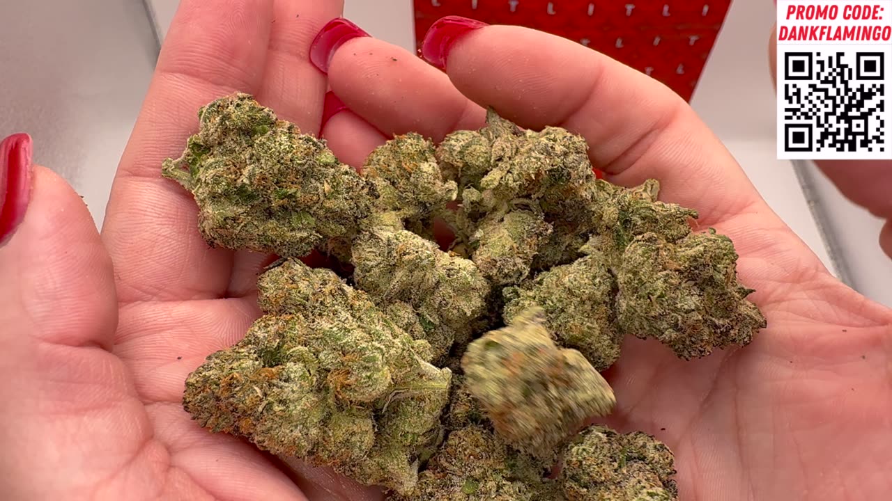 Lit Farms Space Runtz Supreme Review! Out of this World Smoke? Mrs Dank Flamingo!
