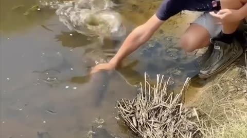 Country boys doing a little hand fishing on a summer day!