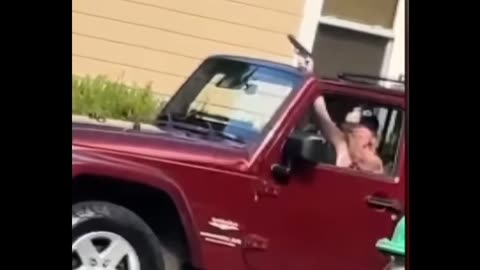 SC Police Shoot Woman Waving a Gun out of Her Vehicle