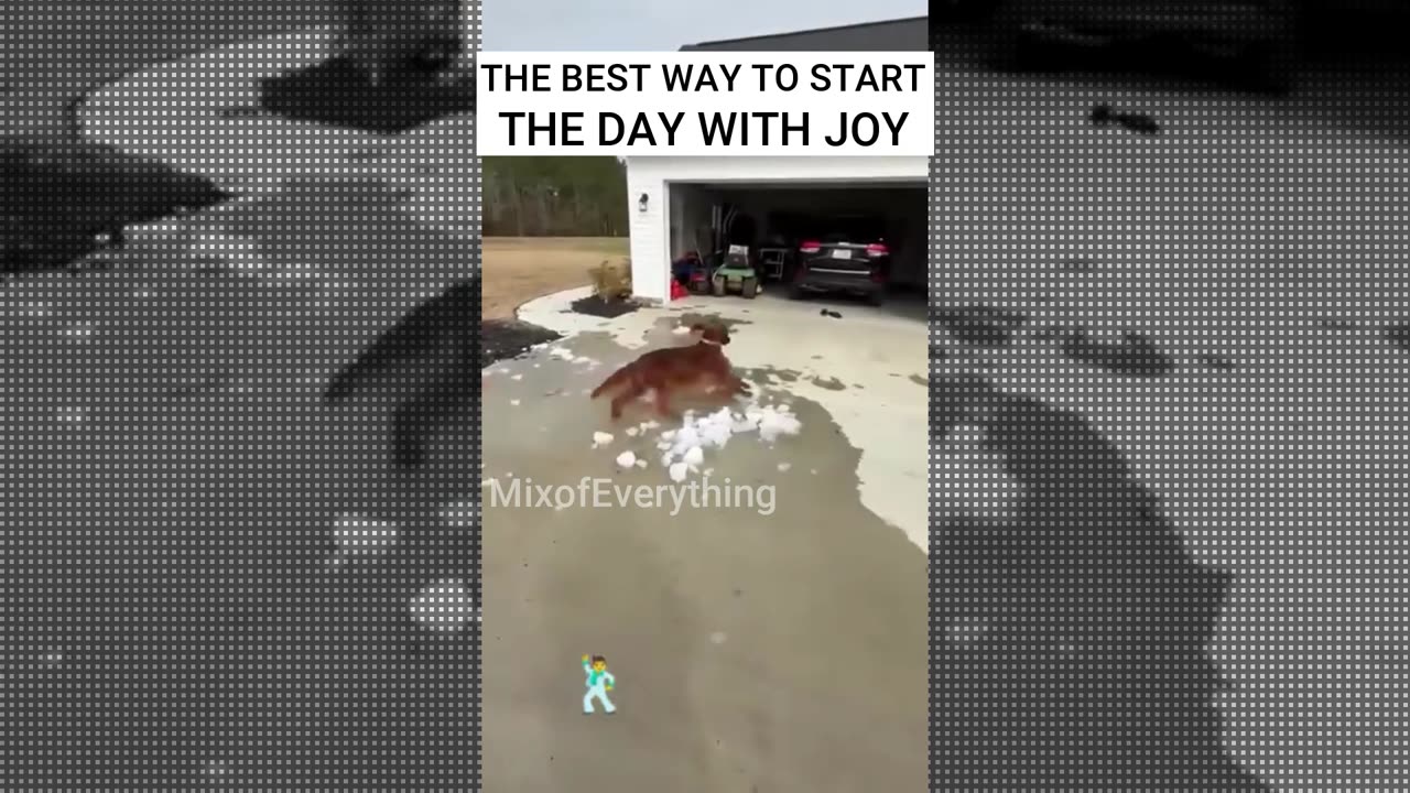 NOTHING LIKE STARTING THE DAY WITH JOY