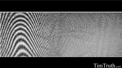 Covid swabs, broken nylon fibers,and patented [darpa] hydrogel. A genocide tool....