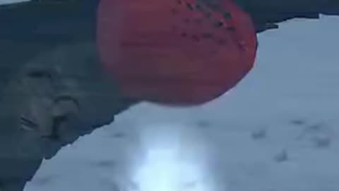 💋 Frigate Bird can sleep while flying