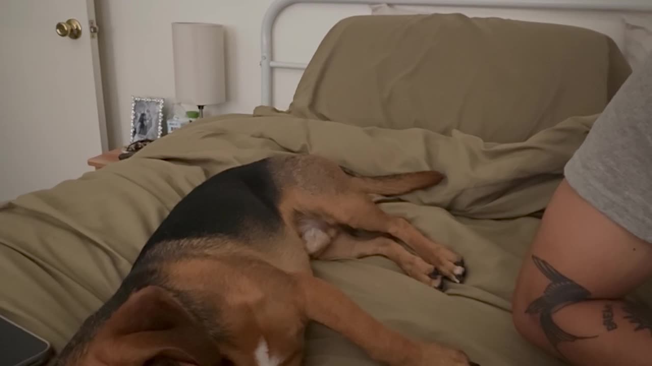 Bruno Doesn't Appreciate Pretend Eating