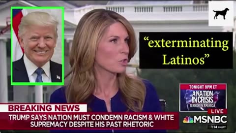 Nicole Wallace "The Liar" - Calls MAGA Base a "Cesspool"