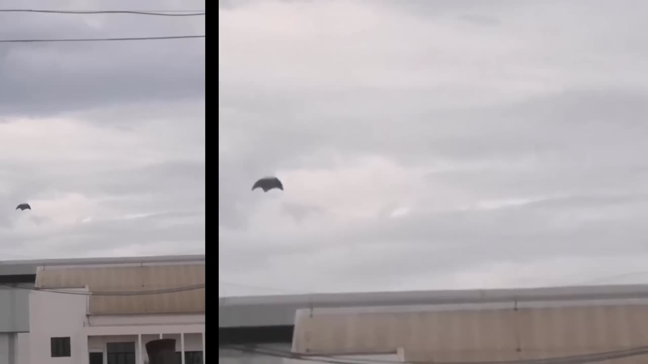 Observations réelles d'OVNI ! Un OVNI filmé par un enfant