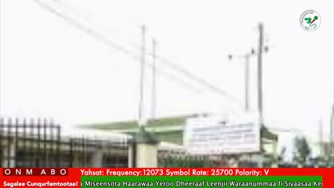 Oduu Waaree ONM-ABO Adoolessa 11-2025 itti dhiyaadhaa!