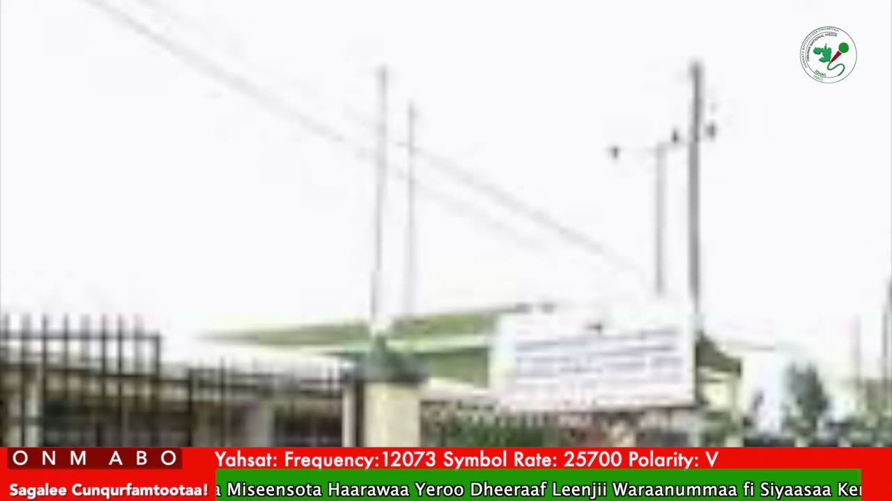 Oduu Waaree ONM-ABO Adoolessa 11-2025 itti dhiyaadhaa!