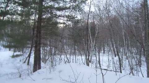 Will Israel deploy the old false flag royal treatment onto Iran soon?