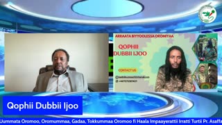 Qophii Dubbii Ijoo ONM-ABO Adoolessa 17-2025 itti dhiyaadhaa!