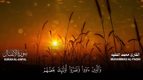 سورة الأنفال كاملة للقارئ محمد الفقيه Mohammed Al Fakih Surah Al Anfal