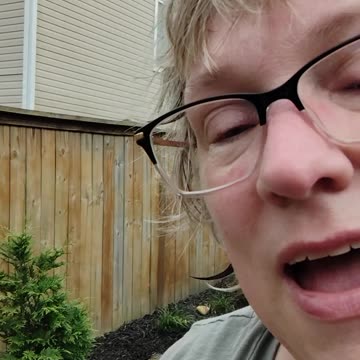 Landscape Influencer 1