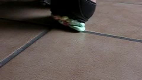 High Heel Crushing