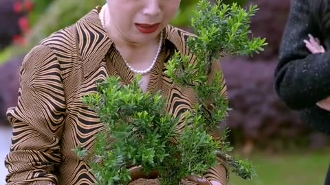 From Housewife to Heiress: My Revenge Story S01-EP69