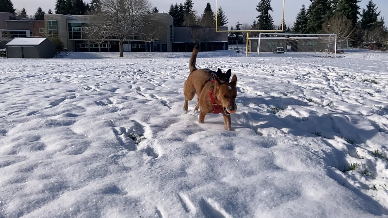 slow mo snow patrol 249083204983490