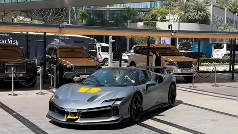 🤩✨ The Most LUXURIOUS Ferrari & Bugatti in Dubai! | LuxurySportsCars
