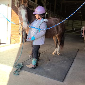 Kyla cleaning Divas hooves.