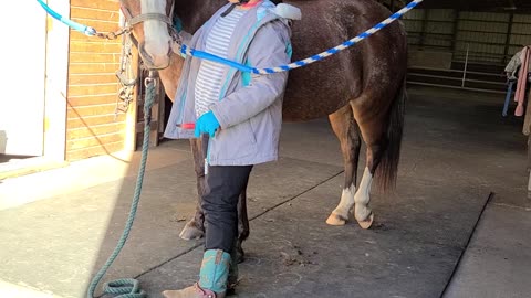 Kyla cleaning Divas hooves.