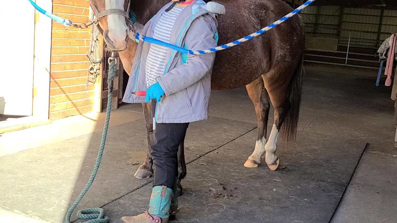 Kyla cleaning Divas hooves.