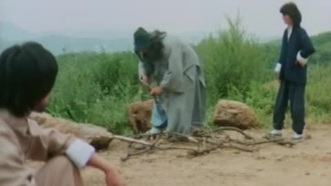 "Eagle vs. Silver Fox" Starring Hwang Jang-Lee