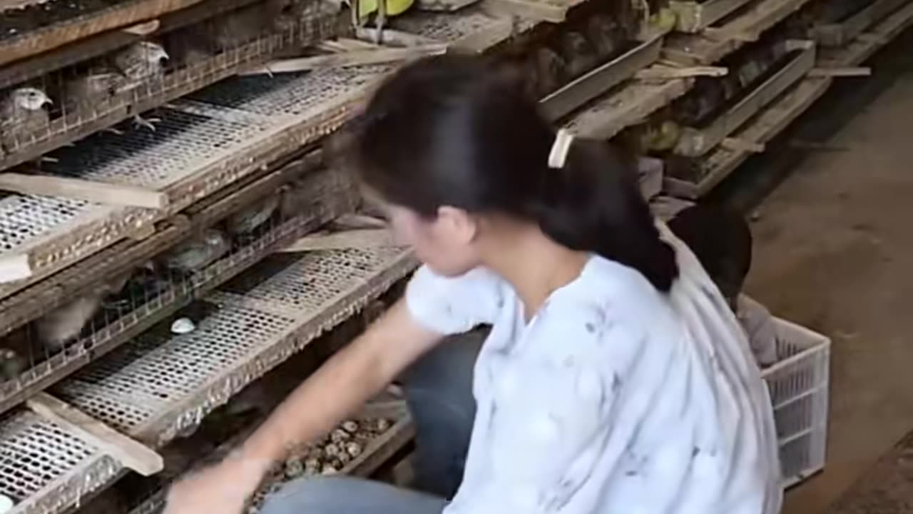 🤯🛠️ You Won't Believe These Tools In Action! Satisfying Machine Moments | FeedMyCuriosity